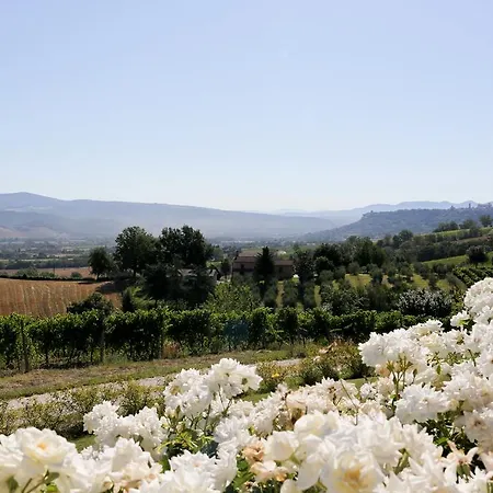 Mini-hôtel Palazzone 3*