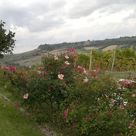 Mini-hôtel Palazzone