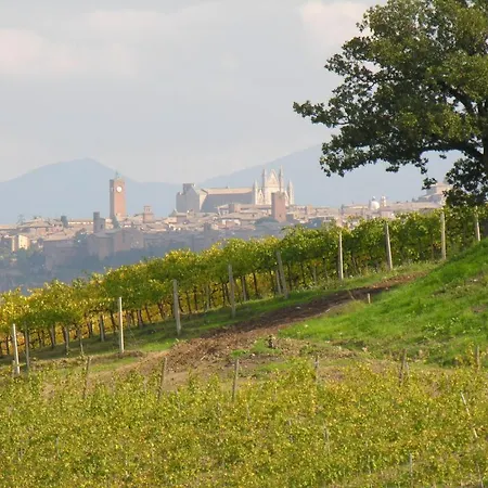 Palazzone Orvieto
