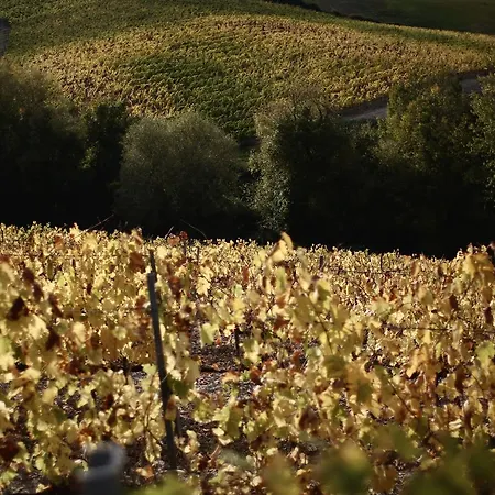 Palazzone Mini-hôtel 3*