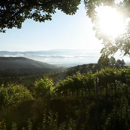 Mini-hôtel Palazzone Orvieto